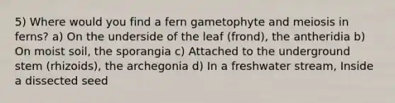 5) Where would you find a fern gametophyte and meiosis in ferns? a) On the underside of the leaf (frond), the antheridia b) On moist soil, the sporangia c) Attached to the underground stem (rhizoids), the archegonia d) In a freshwater stream, Inside a dissected seed