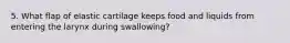 5. What flap of elastic cartilage keeps food and liquids from entering the larynx during swallowing?