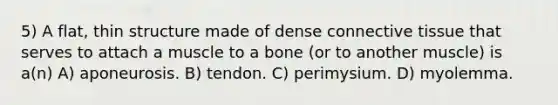 5) A flat, thin structure made of dense connective tissue that serves to attach a muscle to a bone (or to another muscle) is a(n) A) aponeurosis. B) tendon. C) perimysium. D) myolemma.