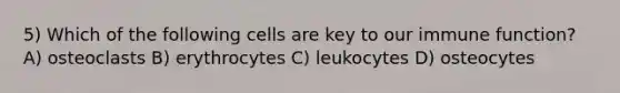 5) Which of the following cells are key to our immune function? A) osteoclasts B) erythrocytes C) leukocytes D) osteocytes