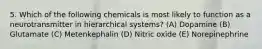 5. Which of the following chemicals is most likely to function as a neurotransmitter in hierarchical systems? (A) Dopamine (B) Glutamate (C) Metenkephalin (D) Nitric oxide (E) Norepinephrine