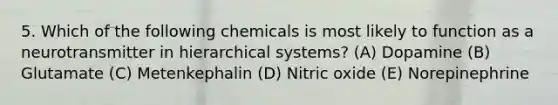 5. Which of the following chemicals is most likely to function as a neurotransmitter in hierarchical systems? (A) Dopamine (B) Glutamate (C) Metenkephalin (D) Nitric oxide (E) Norepinephrine