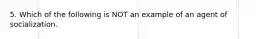 5. Which of the following is NOT an example of an agent of socialization.