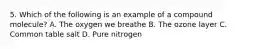 5. Which of the following is an example of a compound molecule? A. The oxygen we breathe B. The ozone layer C. Common table salt D. Pure nitrogen