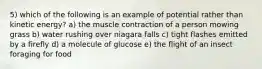 5) which of the following is an example of potential rather than kinetic energy? a) the muscle contraction of a person mowing grass b) water rushing over niagara falls c) tight flashes emitted by a firefly d) a molecule of glucose e) the flight of an insect foraging for food