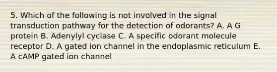 5. Which of the following is not involved in the signal transduction pathway for the detection of odorants? A. A G protein B. Adenylyl cyclase C. A specific odorant molecule receptor D. A gated ion channel in the endoplasmic reticulum E. A cAMP gated ion channel