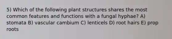 5) Which of the following plant structures shares the most common features and functions with a fungal hyphae? A) stomata B) vascular cambium C) lenticels D) root hairs E) prop roots