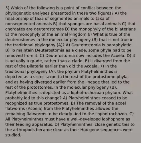 5) Which of the following is a point of conflict between the phylogenetic analyses presented in these two figures? A) the relationship of taxa of segmented animals to taxa of nonsegmented animals B) that sponges are basal animals C) that chordates are deuterostomes D) the monophyly of the bilaterians E) the monophyly of the animal kingdom 6) What is true of the deuterostomes in the molecular phylogeny (B) that is not true in the traditional phylogeny (A)? A) Deuterostomia is paraphyletic. B) To maintain Deuterostomia as a clade, some phyla had to be removed from it. C) Deuterostomia now includes the Acoela. D) It is actually a grade, rather than a clade. E) It diverged from the rest of the Bilateria earlier than did the Acoela. 7) In the traditional phylogeny (A), the phylum Platyhelminthes is depicted as a sister taxon to the rest of the protostome phyla, and as having diverged earlier from the lineage that led to the rest of the protostomes. In the molecular phylogeny (B), Platyhelminthes is depicted as a lophotrochozoan phylum. What probably led to this change? A) Platyhelminthes ceased to be recognized as true protostomes. B) The removal of the acoel flatworms (Acoela) from the Platyhelminthes allowed the remaining flatworms to be clearly tied to the Lophotrochozoa. C) All Platyhelminthes must have a well-developed lophophore as their feeding apparatus. D) Platyhelminthes' close genetic ties to the arthropods became clear as their Hox gene sequences were studied.