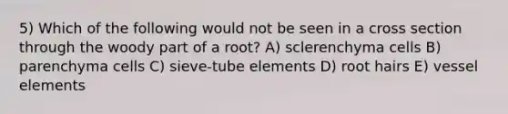 5) Which of the following would not be seen in a cross section through the woody part of a root? A) sclerenchyma cells B) parenchyma cells C) sieve-tube elements D) root hairs E) vessel elements