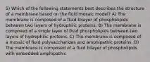 5) Which of the following statements best describes the structure of a membrane based on the fluid mosaic model? A) The membrane is composed of a fluid bilayer of phospholipids between two layers of hydrophilic proteins. B) The membrane is composed of a single layer of fluid phospholipids between two layers of hydrophilic proteins. C) The membrane is composed of a mosaic of fluid polysaccharides and amphipathic proteins. D) The membrane is composed of a fluid bilayer of phospholipids with embedded amphipathic