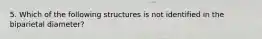 5. Which of the following structures is not identified in the biparietal diameter?