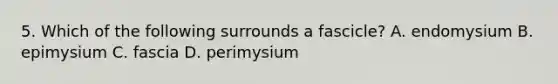 5. Which of the following surrounds a fascicle? A. endomysium B. epimysium C. fascia D. perimysium