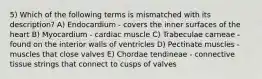 5) Which of the following terms is mismatched with its description? A) Endocardium - covers the inner surfaces of the heart B) Myocardium - cardiac muscle C) Trabeculae carneae - found on the interior walls of ventricles D) Pectinate muscles - muscles that close valves E) Chordae tendineae - connective tissue strings that connect to cusps of valves