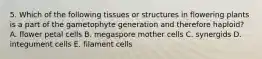 5. Which of the following tissues or structures in flowering plants is a part of the gametophyte generation and therefore haploid? A. flower petal cells B. megaspore mother cells C. synergids D. integument cells E. filament cells