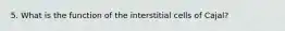 5. What is the function of the interstitial cells of Cajal?