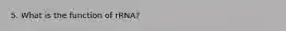 5. What is the function of rRNA?