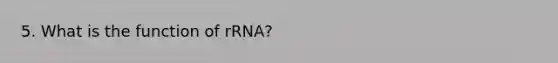 5. What is the function of rRNA?