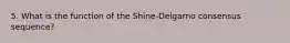 5. What is the function of the Shine-Delgarno consensus sequence?