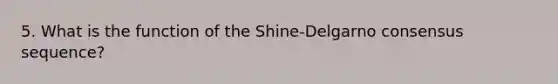 5. What is the function of the Shine-Delgarno consensus sequence?