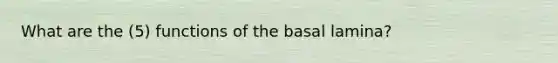 What are the (5) functions of the basal lamina?