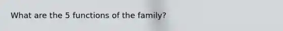 What are the 5 functions of the family?