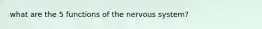 what are the 5 functions of the nervous system?