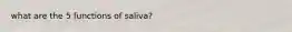 what are the 5 functions of saliva?