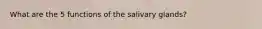 What are the 5 functions of the salivary glands?