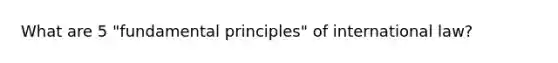 What are 5 "fundamental principles" of international law?