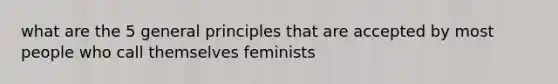 what are the 5 general principles that are accepted by most people who call themselves feminists