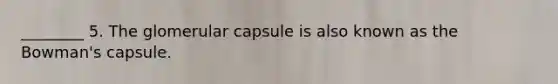 ________ 5. The glomerular capsule is also known as the Bowman's capsule.