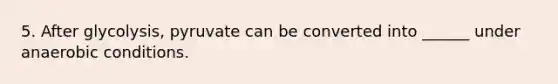 5. After glycolysis, pyruvate can be converted into ______ under anaerobic conditions.