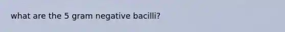 what are the 5 gram negative bacilli?