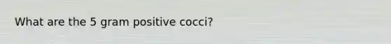 What are the 5 gram positive cocci?