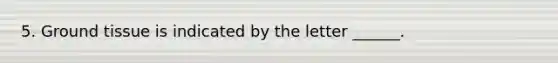 5. <a href='https://www.questionai.com/knowledge/kb0kKBaH0H-ground-tissue' class='anchor-knowledge'>ground tissue</a> is indicated by the letter ______.