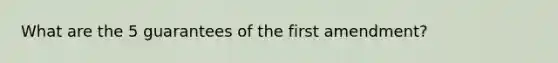 What are the 5 guarantees of the first amendment?