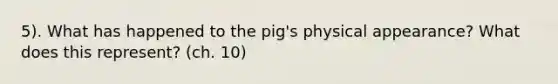 5). What has happened to the pig's physical appearance? What does this represent? (ch. 10)