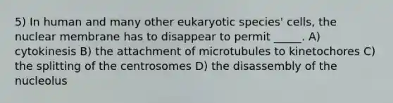 5) In human and many other eukaryotic species' cells, the nuclear membrane has to disappear to permit _____. A) cytokinesis B) the attachment of microtubules to kinetochores C) the splitting of the centrosomes D) the disassembly of the nucleolus