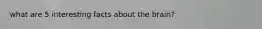 what are 5 interesting facts about the brain?