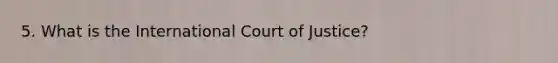 5. What is the International Court of Justice?