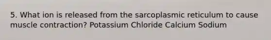 5. What ion is released from the sarcoplasmic reticulum to cause <a href='https://www.questionai.com/knowledge/k0LBwLeEer-muscle-contraction' class='anchor-knowledge'>muscle contraction</a>? Potassium Chloride Calcium Sodium