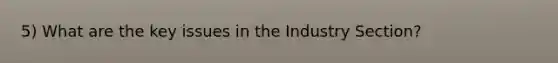 5) What are the key issues in the Industry Section?