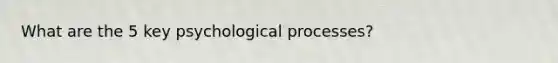 What are the 5 key psychological processes?