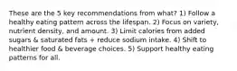 These are the 5 key recommendations from what? 1) Follow a healthy eating pattern across the lifespan. 2) Focus on variety, nutrient density, and amount. 3) Limit calories from added sugars & saturated fats + reduce sodium intake. 4) Shift to healthier food & beverage choices. 5) Support healthy eating patterns for all.