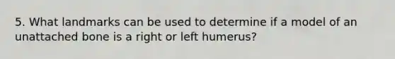 5. What landmarks can be used to determine if a model of an unattached bone is a right or left humerus?