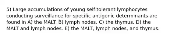 5) Large accumulations of young self-tolerant lymphocytes conducting surveillance for specific antigenic determinants are found in A) the MALT. B) lymph nodes. C) the thymus. D) the MALT and lymph nodes. E) the MALT, lymph nodes, and thymus.