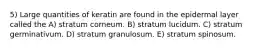 5) Large quantities of keratin are found in the epidermal layer called the A) stratum corneum. B) stratum lucidum. C) stratum germinativum. D) stratum granulosum. E) stratum spinosum.