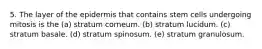 5. The layer of the epidermis that contains stem cells undergoing mitosis is the (a) stratum corneum. (b) stratum lucidum. (c) stratum basale. (d) stratum spinosum. (e) stratum granulosum.