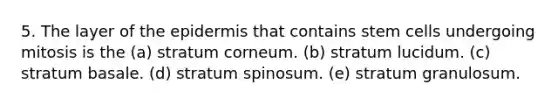 5. The layer of <a href='https://www.questionai.com/knowledge/kBFgQMpq6s-the-epidermis' class='anchor-knowledge'>the epidermis</a> that contains <a href='https://www.questionai.com/knowledge/kbpI7ow6uC-stem-cells' class='anchor-knowledge'>stem cells</a> undergoing mitosis is the (a) stratum corneum. (b) stratum lucidum. (c) stratum basale. (d) stratum spinosum. (e) stratum granulosum.