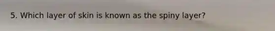 5. Which layer of skin is known as the spiny layer?